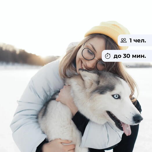 Дай лапу.  Посещение питомника хаски