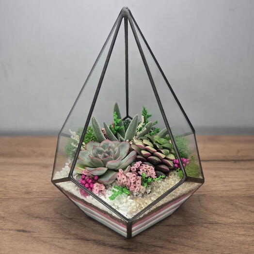 Флорариум с суккулентами М