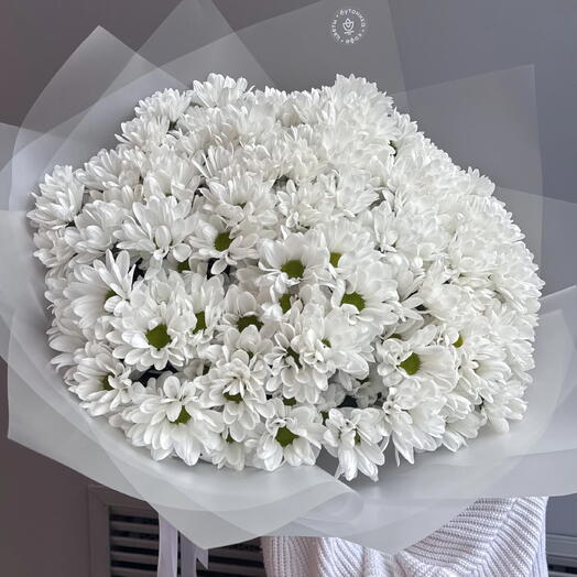 Монобукет из ромашковой хризантемы (Монобукеты)  Углы пленка L [SKU М23.М5-1.13-2]