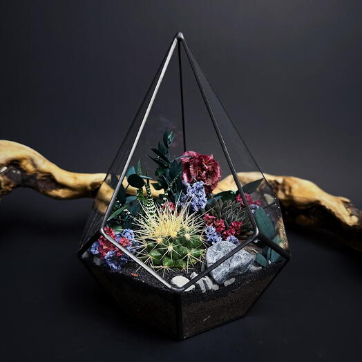 Флорариум с суккулентами и кактусом "Дарк"