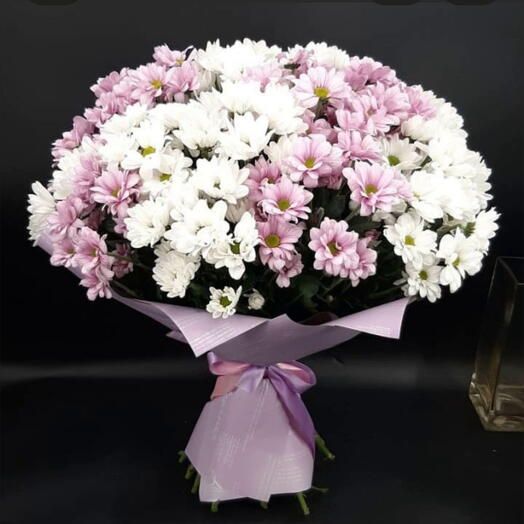 Моно хризантема куст💐