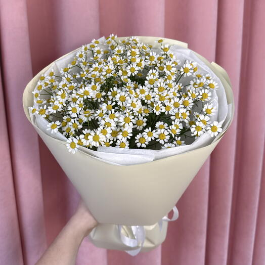 Букет из 7 кустовых ромашек