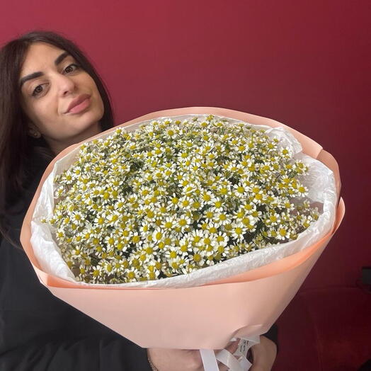 Моно из ромашек