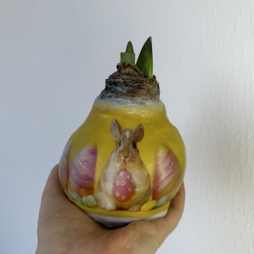 Луковица амариллиса в воске на Пасху 🐣🐰