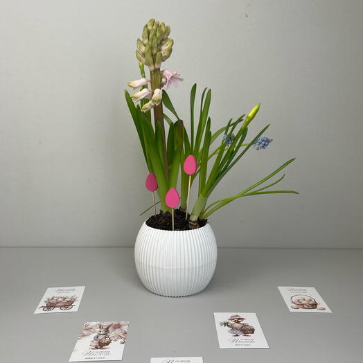 Композиция пасхальная из гиацинта, нарцисса и мускари с декором