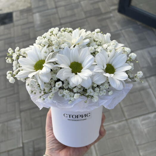 Комплимент