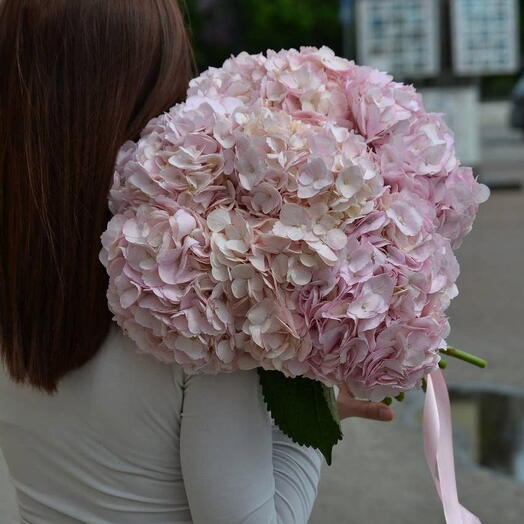 Букет из розовой гортензии 🌸