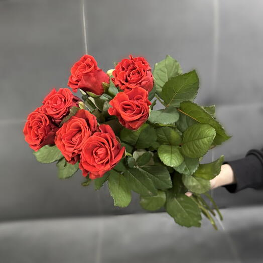Роза Ажурная Эльторо 7