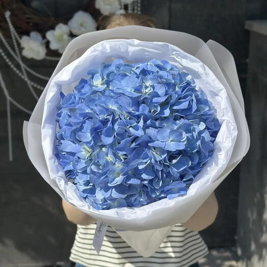 Королевская гортензия