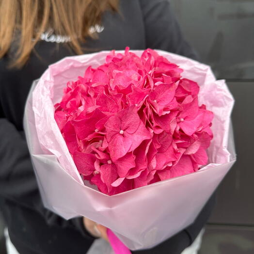Сочная голландская гортензия💞