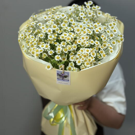 Букет из летних ромашек