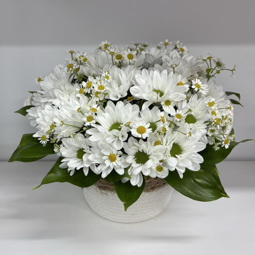 Корзинка с ромашками