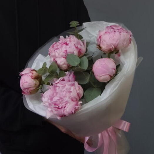 Нежные пионы Сара Бернар PEONY196