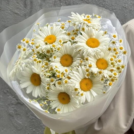 Букет ромашек L