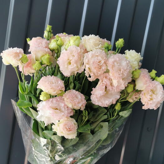 Эустома нежно-розовая махровая 11 шт🌸