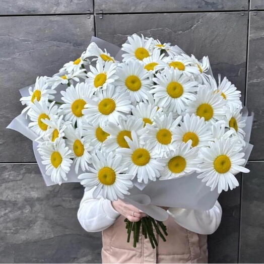 Букет крупные ромашки отборные (35 шт.)