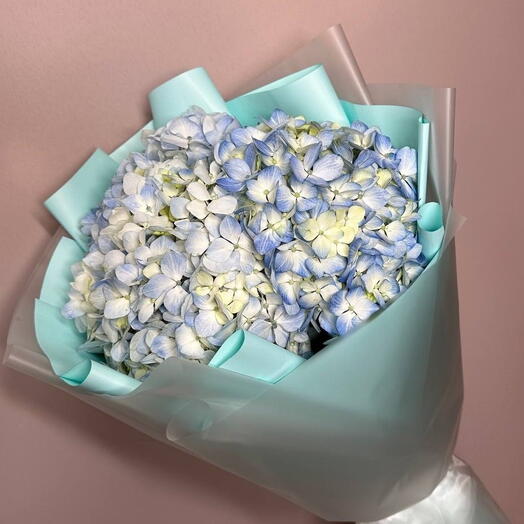Голубые гортензии в упаковке!🌸