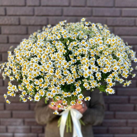 Букет ромашек 💐