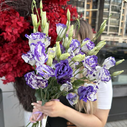 Эустома сезонная 9 шт фиолетовый 💜