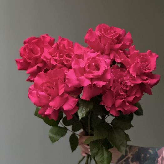 Роза французская, цвет фуксия. 7 шт
