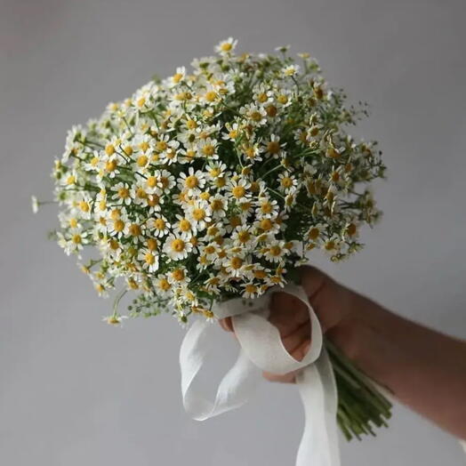 Букет невесты из ромашек 💛