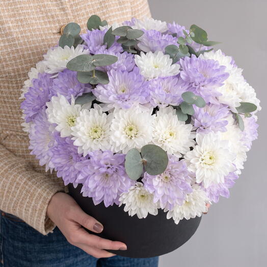 Нежная коробка XL из Хризантем Алтай🌸 и Эвкалипта🌿