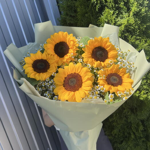 Подсолнух 🌻 и Матрикари