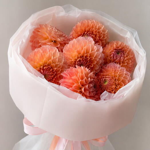 Dahlia Secret