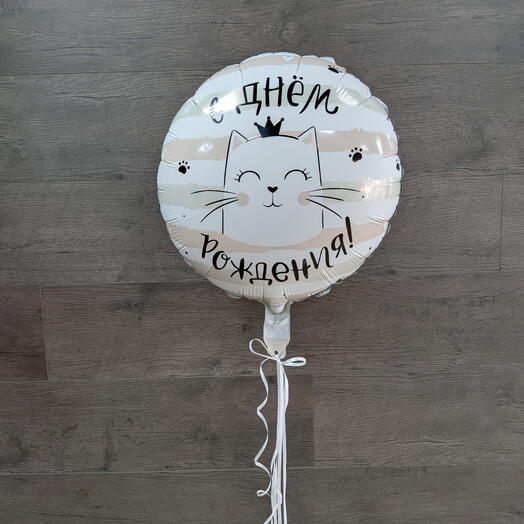 Воздушный шар фольгированный «С Днем рождения! Котик»