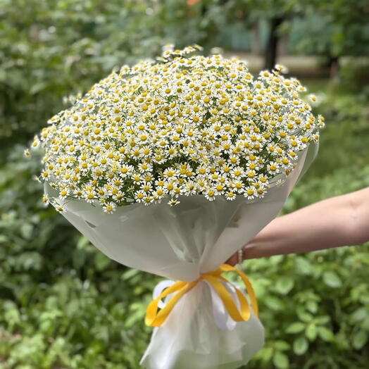 Букет из ромашек