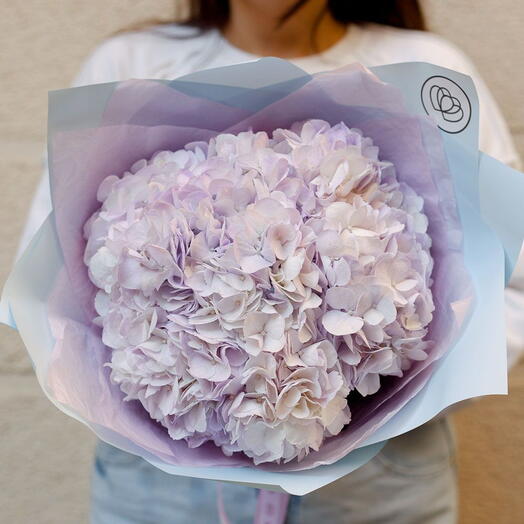Букет из 3 сиреневых гортензий в голубой пленке