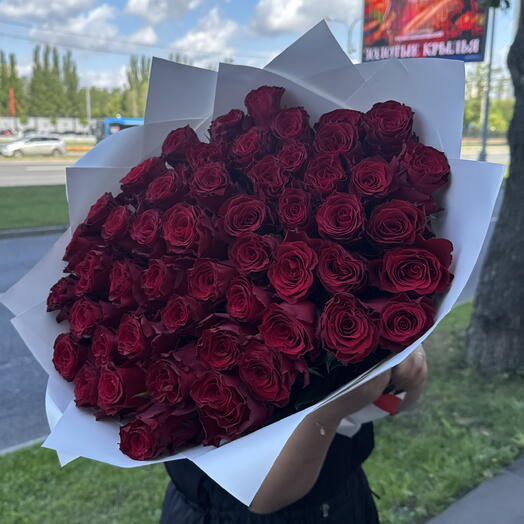 Крупная бордовая Роза