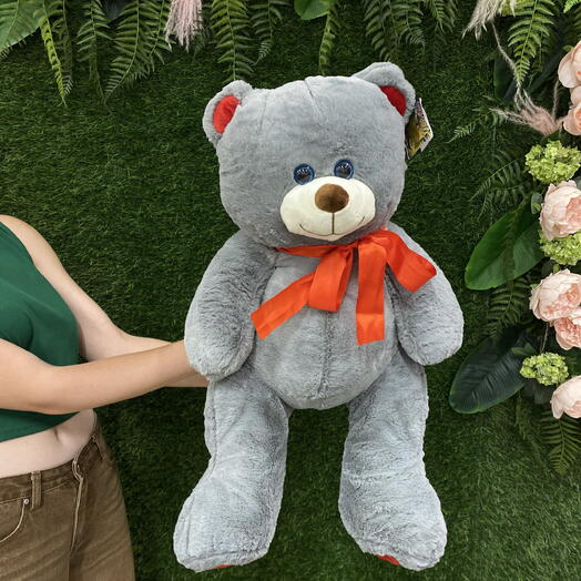 Мишка серый