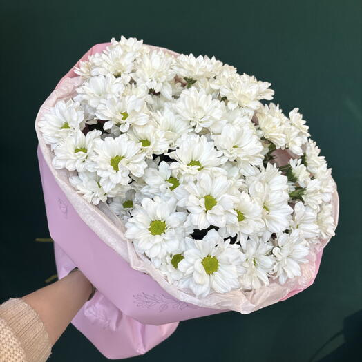 Букет ромашек хризантем 🌸