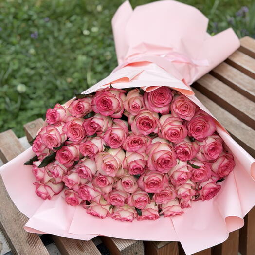 Pink Jumilia roses