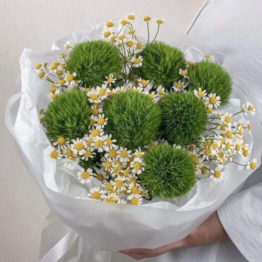 Дуо букет из зеленых гвоздик и кустовых ромашек