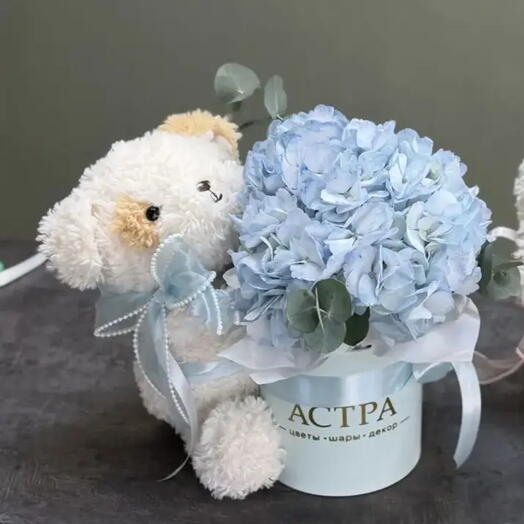 Коробка с гортензией и с игрушкой