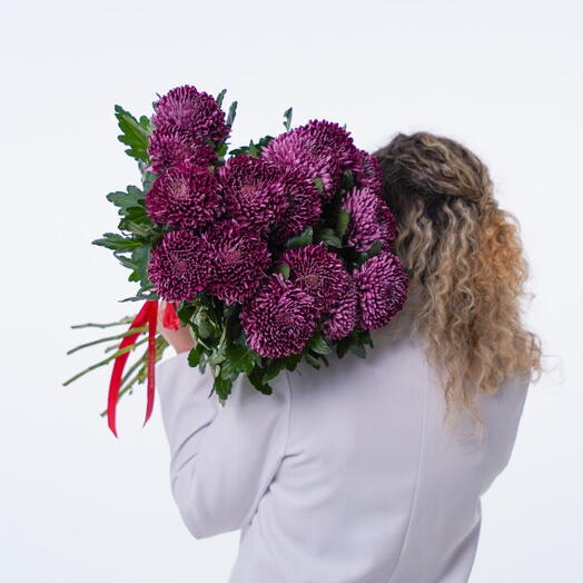 15 фиолетовых хризантем под ленту 423