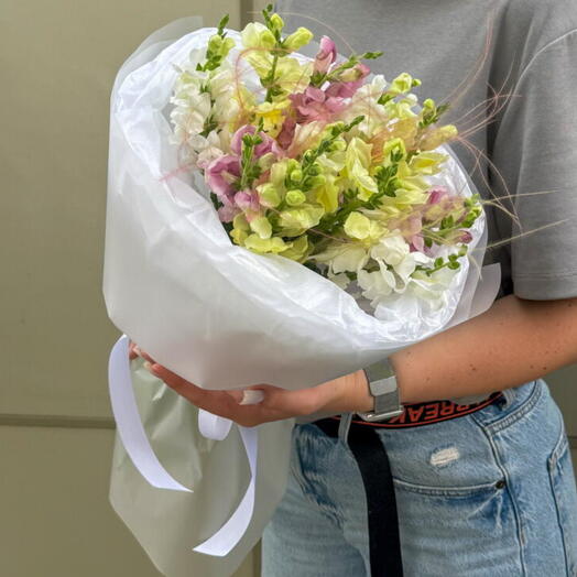 Микс букет Львиный Зев 9шт + сладкий подарок 🎁