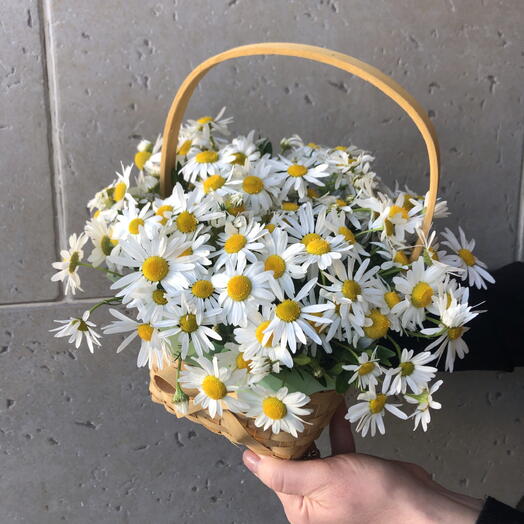 Корзина с ромашками 🌼🌼🌼🌼🌼🌼