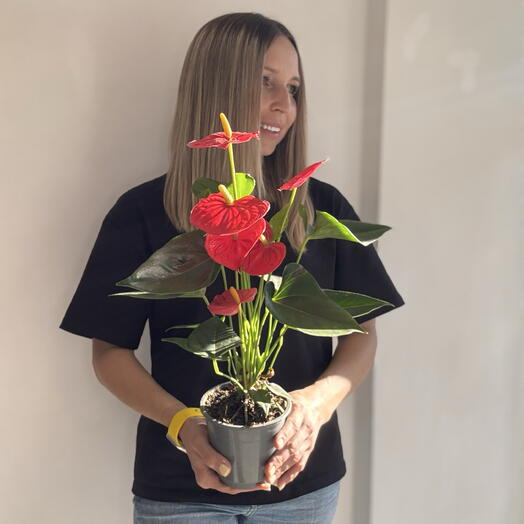 Flower story