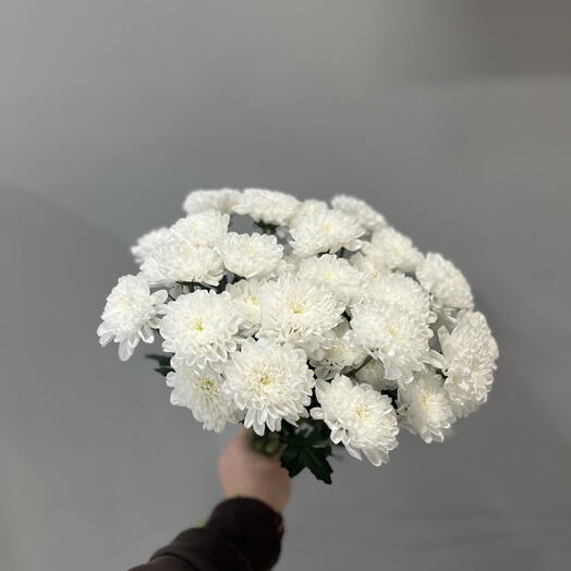 Букет из белых хризантем