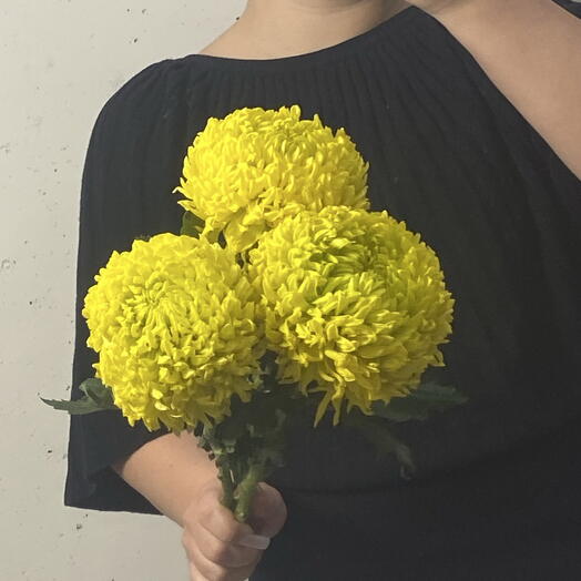Хризантема желтая крупная 💛 3