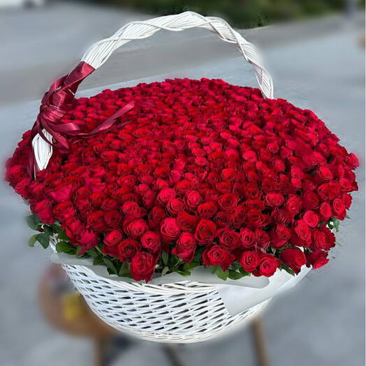 Композиция из 555 роз в корзине