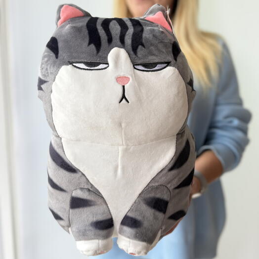 Мягкая игрушка «кот злюка»