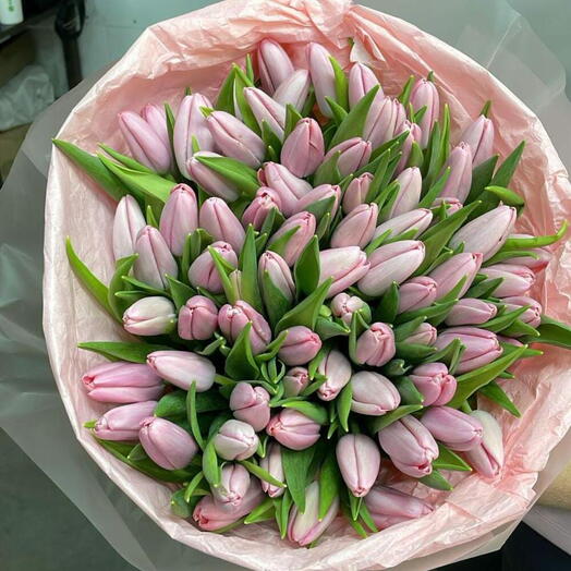 Букет из 75 тюльпанов