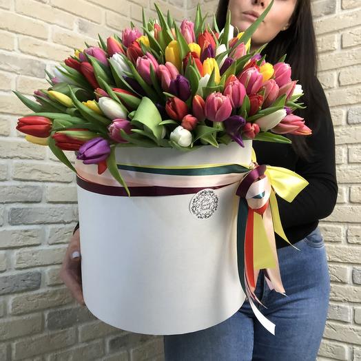 151 Tulip in box