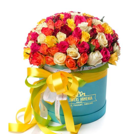 Bright Color Combination