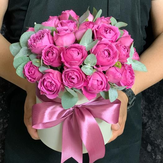 Misty bubbles rosas de arbustos en forma de peonía con eucalipto