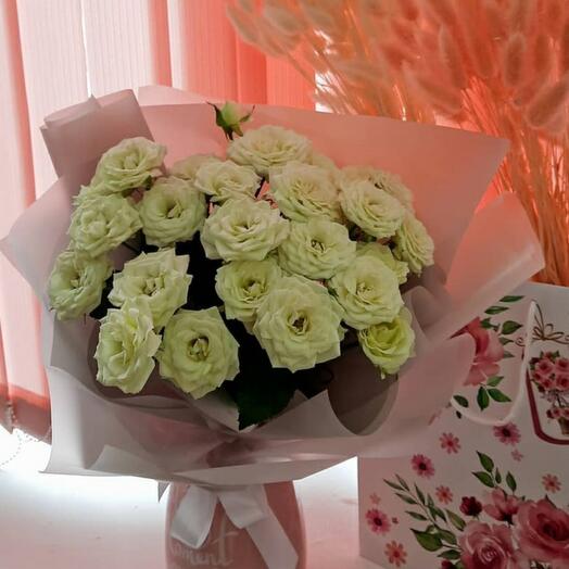 5 rosas arbustivas